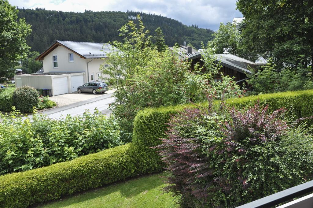 Fewo Jager Apartment Willingen  Exterior photo